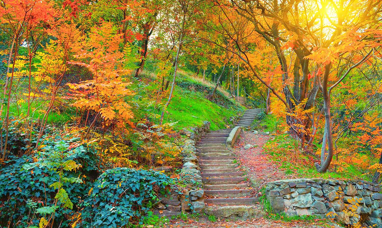 Осенние парки в Тбилиси