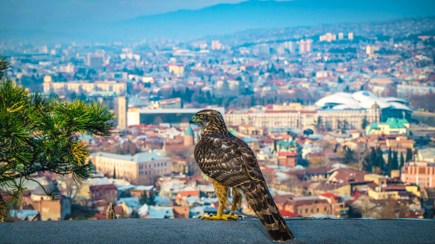 Panorama von Tiflis