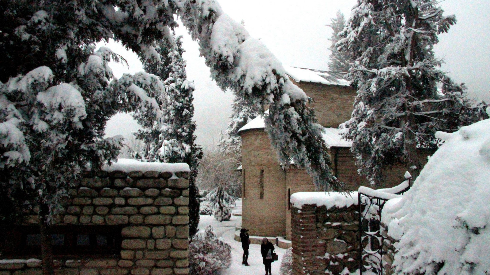Bodbe in winter, Kakheti, Georgia