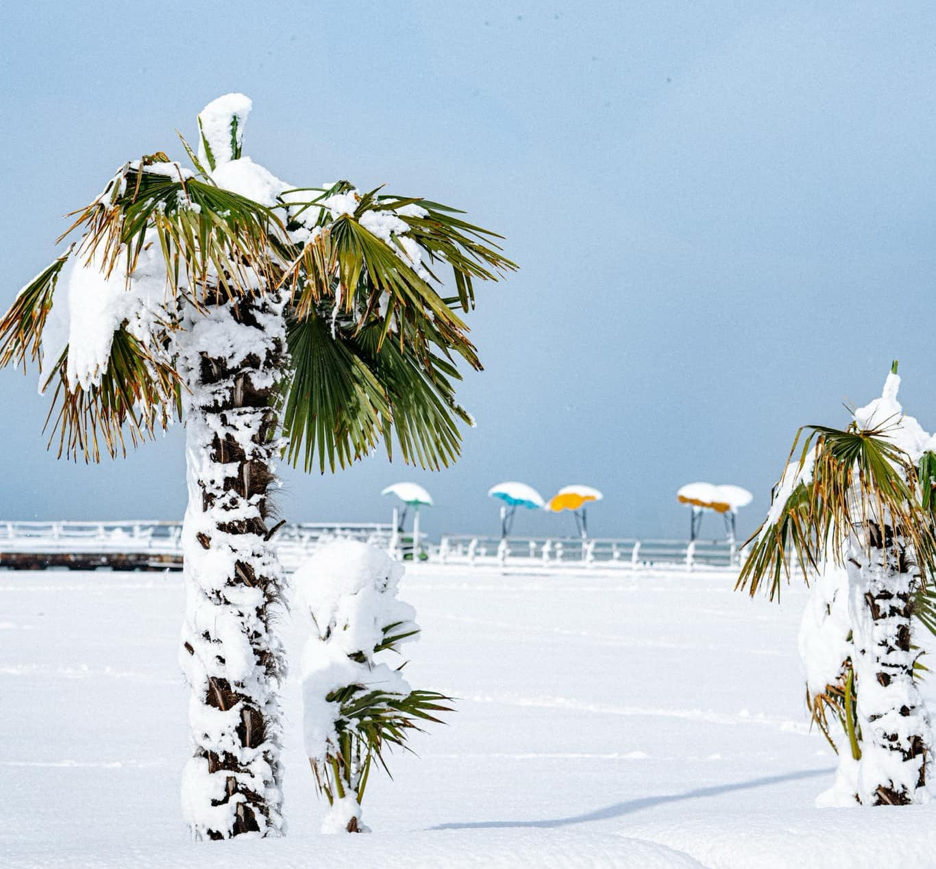 Batumi’s Snowy Surprise: A Winter Fairy Tale